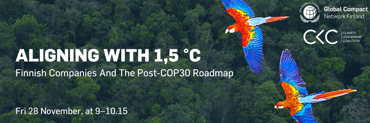 Finnish companies and the post-COP30 roadmap